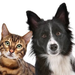 Czy warto umówić się na konsultację?